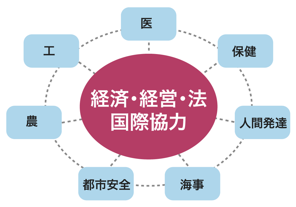 社会システムイノベーション研究拠点 説明図