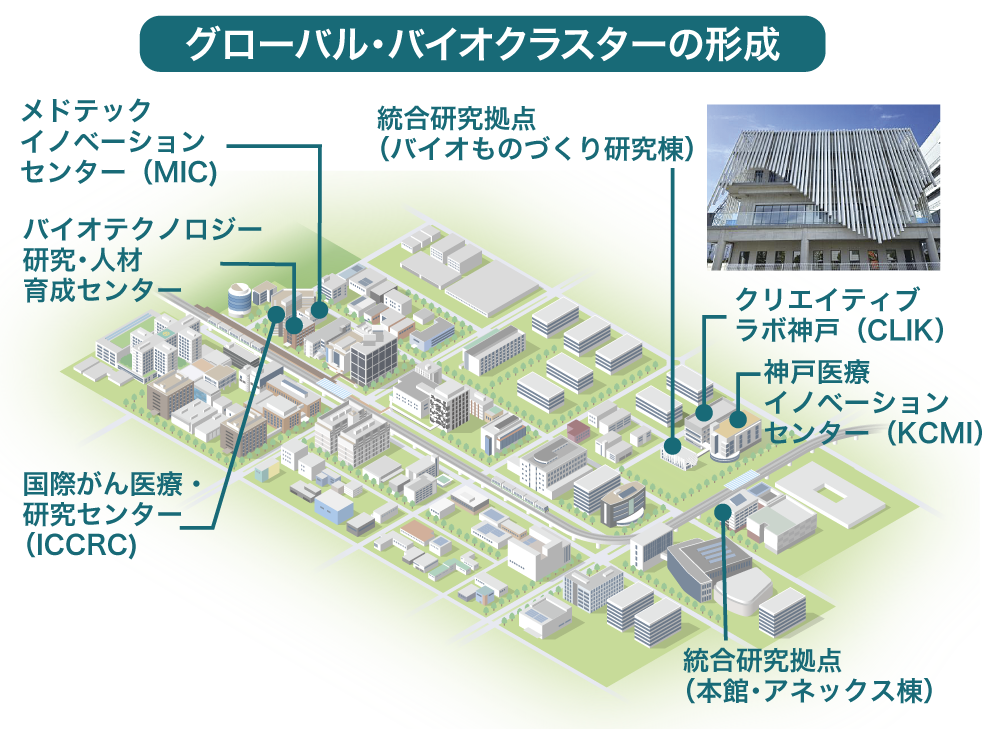 グローバル・バイオクラスターの形成図
