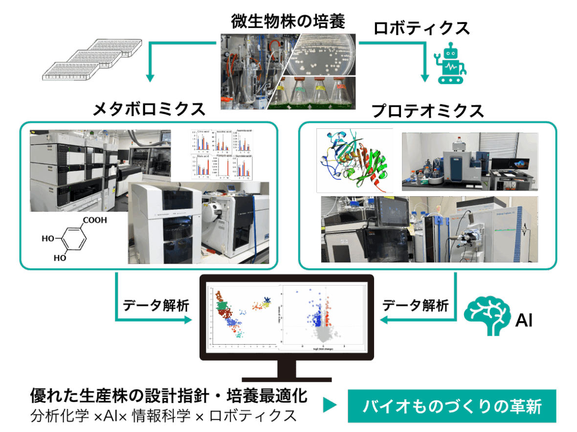 先端分析評価・プロセスチーム