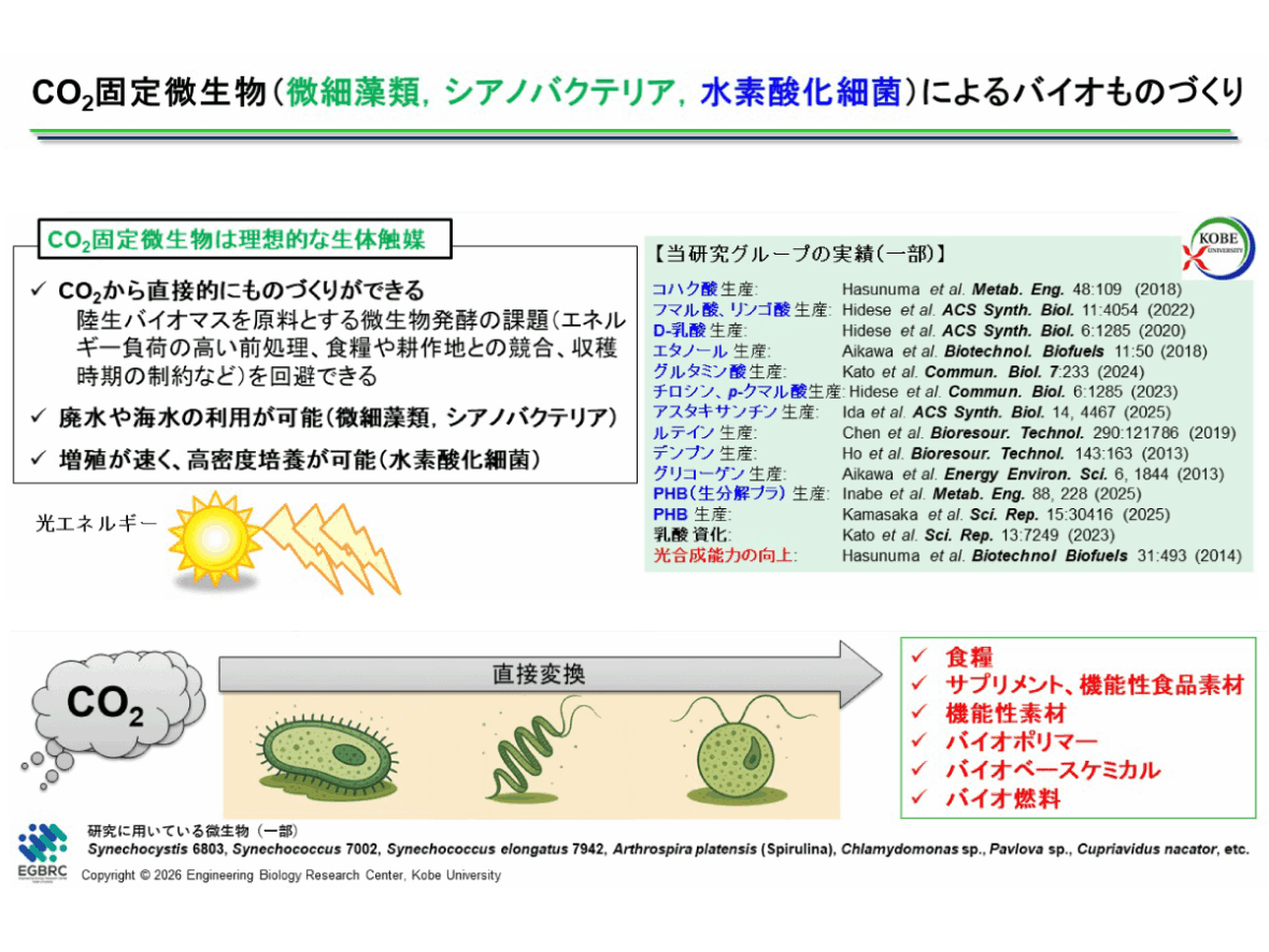 カーボンニュートラル