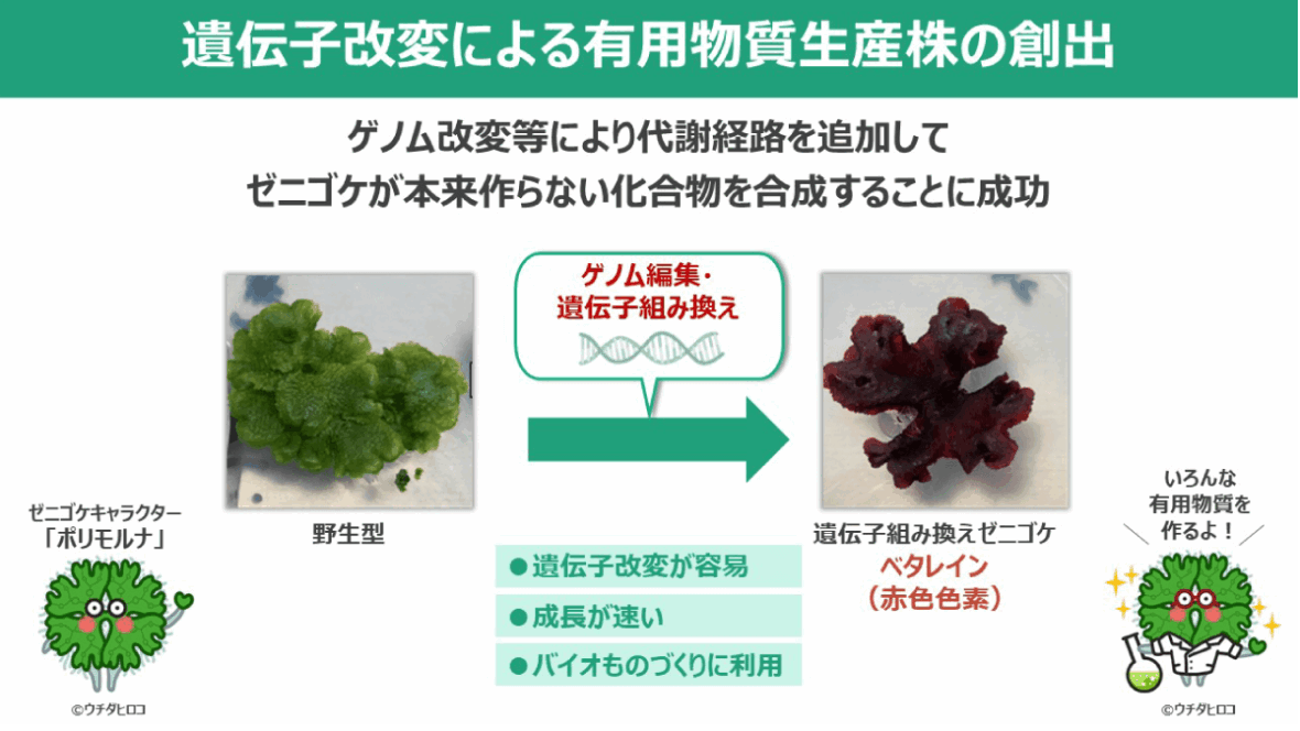 次世代フードテック