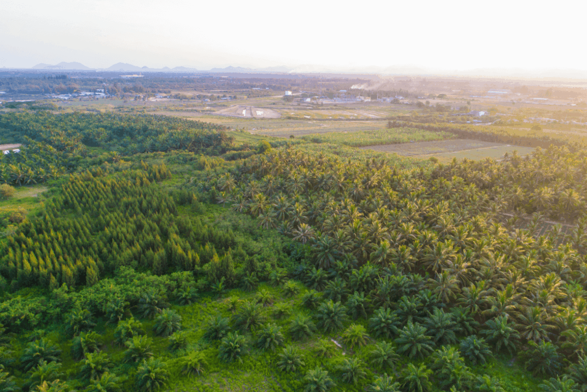スマート育種・バイオ生産